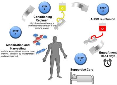 Rehabilitation Before and After Autologous Haematopoietic Stem Cell Transplantation (AHSCT) for Patients With Multiple Sclerosis (MS): Consensus Guidelines and Recommendations for Best Clinical Practice on Behalf of the Autoimmune Diseases Working Party, Nurses Group, and Patient Advocacy Committee of the European Society for Blood and Marrow Transplantation (EBMT)